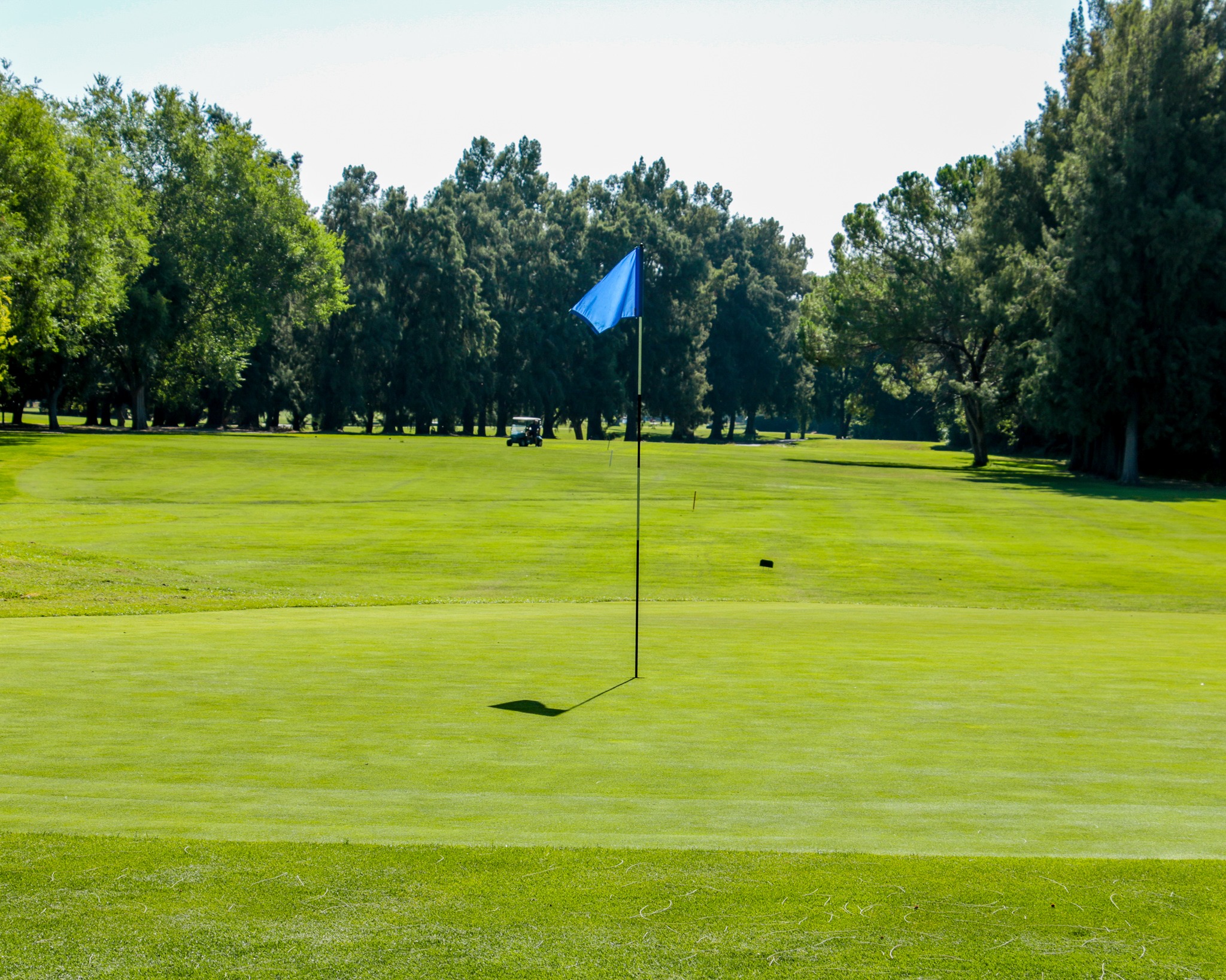 Bing Maloney Golf Course Sacramento: Tee Time Guide