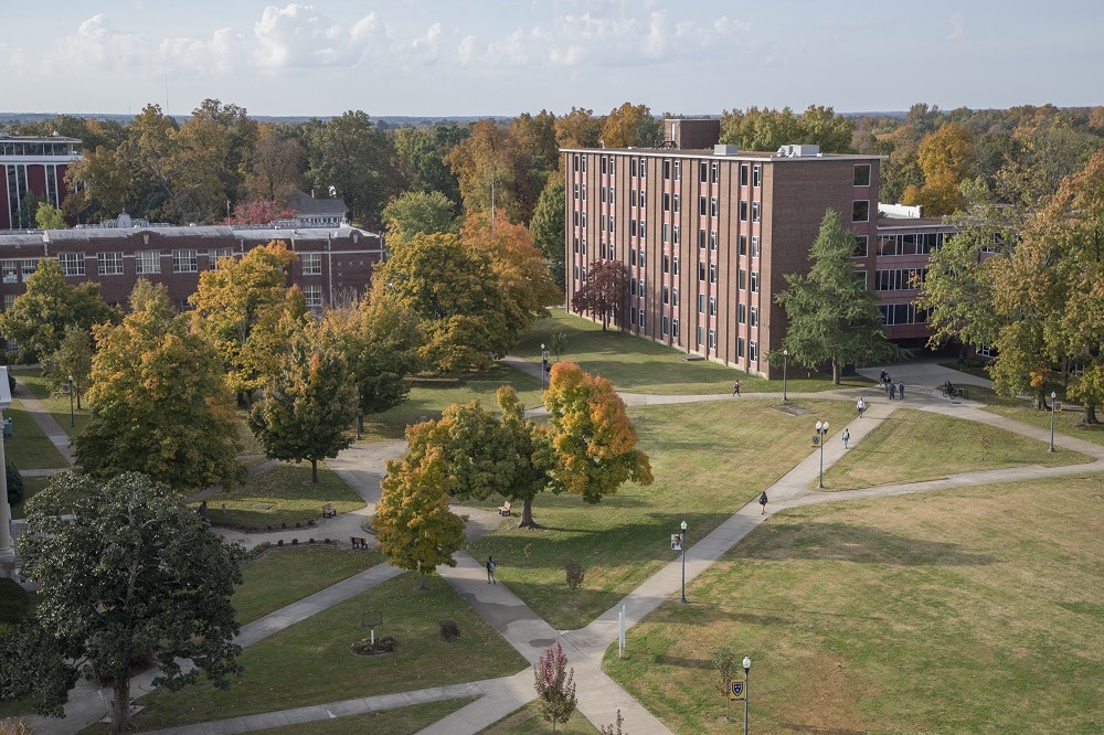 Canvas Murray State