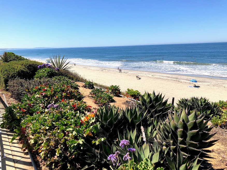 Carlsbad Sea Wall Trail A Closer Look San Diego Beach Secrets