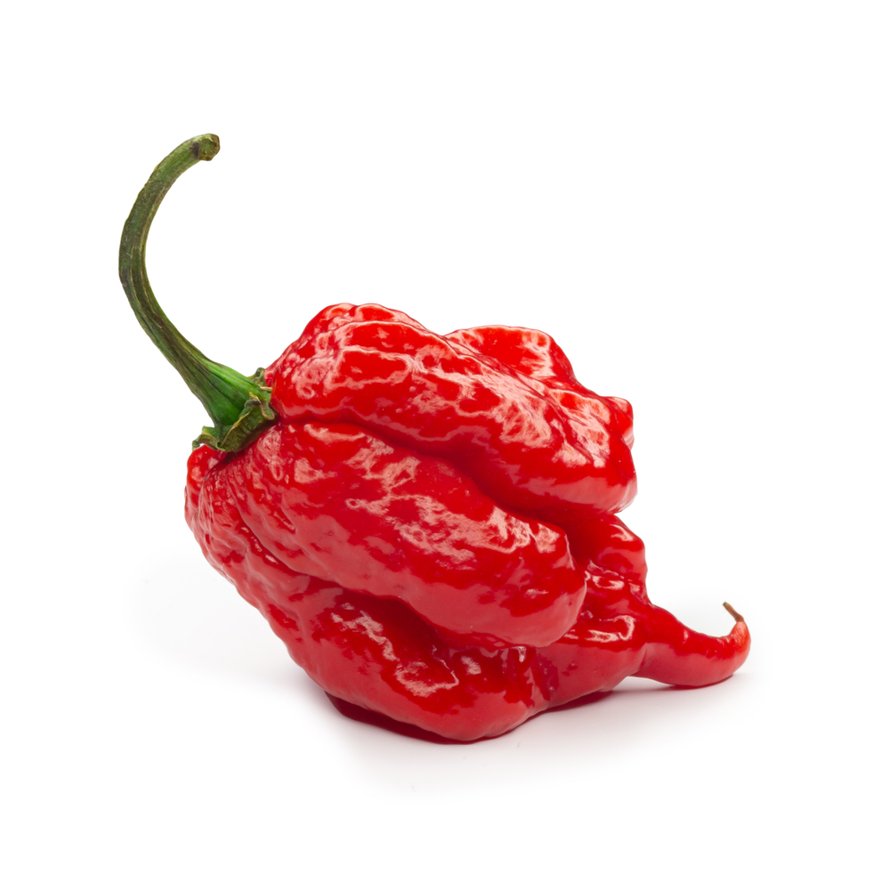 Carolina Reaper Hottest Pepper In The World All About It Chili