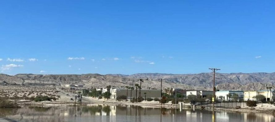 Coachella Valley Animal Campus