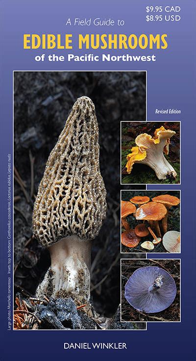 Field Guide To Edible Mushrooms Of California Mushroaming Daniel