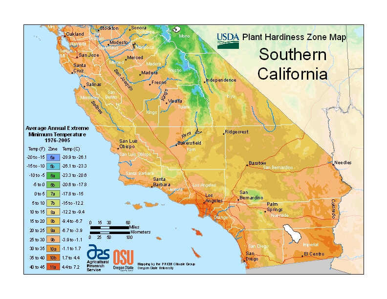 Grow Zones California Fasci Garden