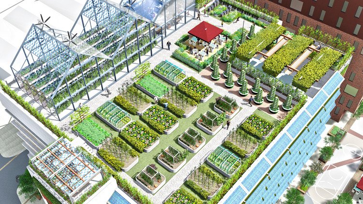 How To Do Urban Farming Agrimate Org