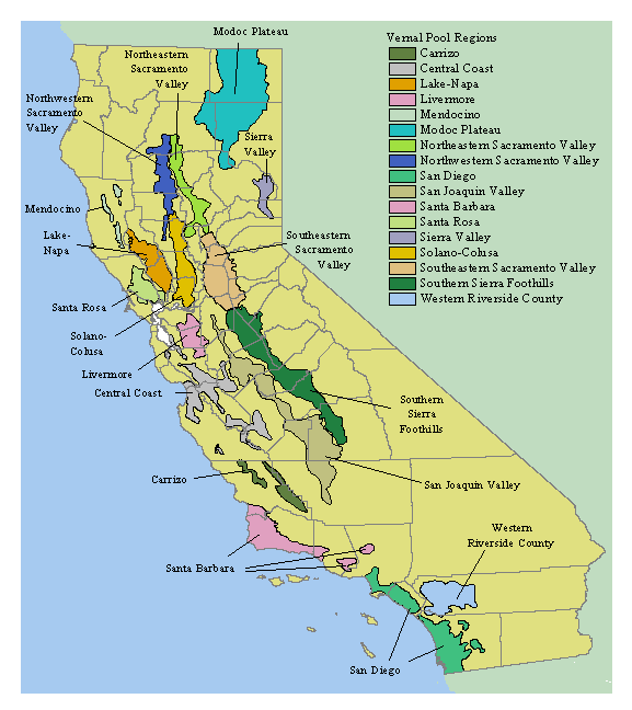 Vernal Pools California