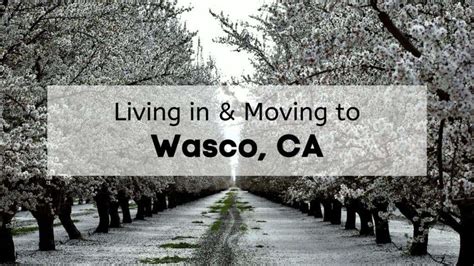 Wasco County Guide: Explore California