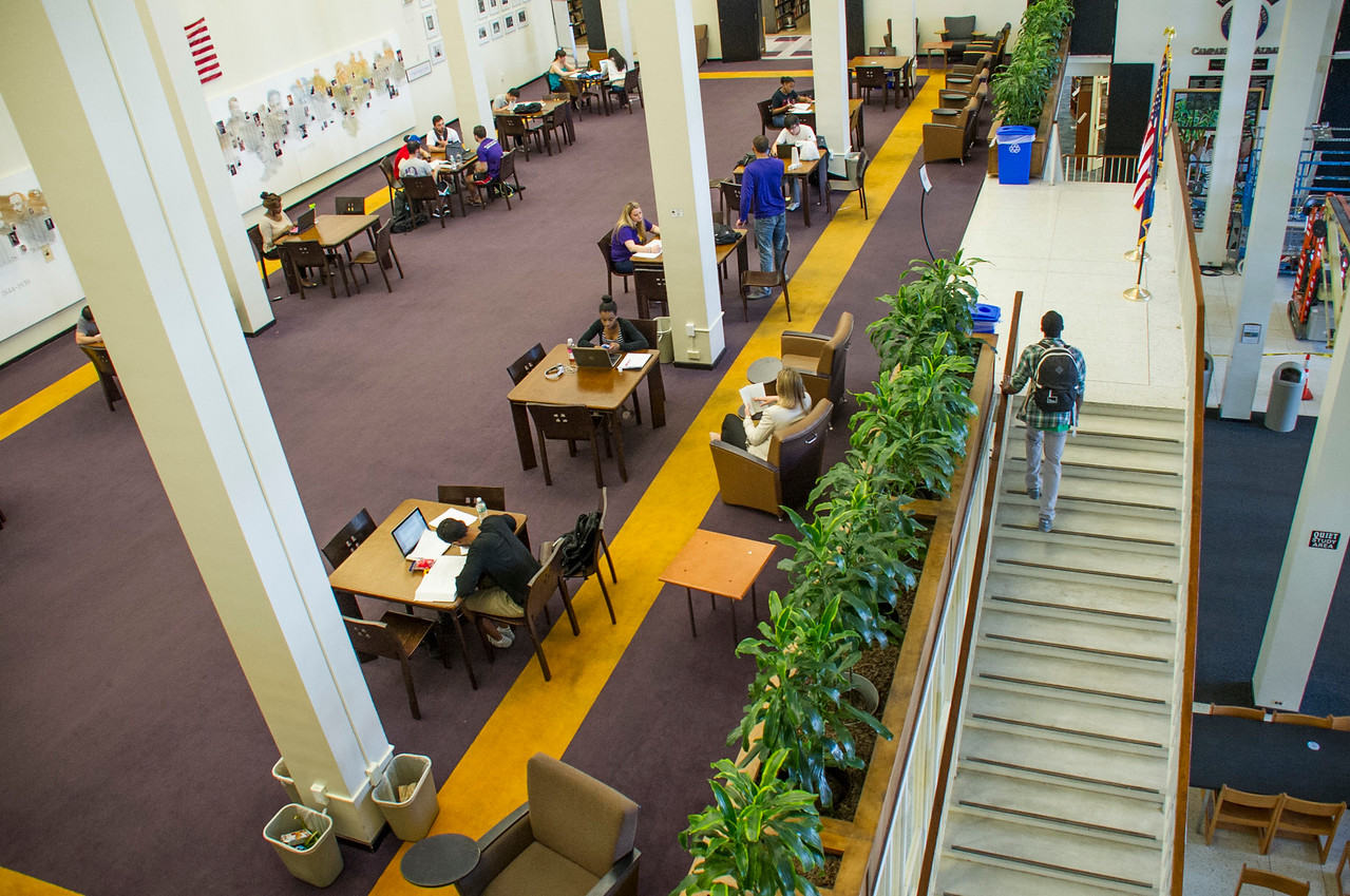 What Is Albany Library Ca? Your Research Guide